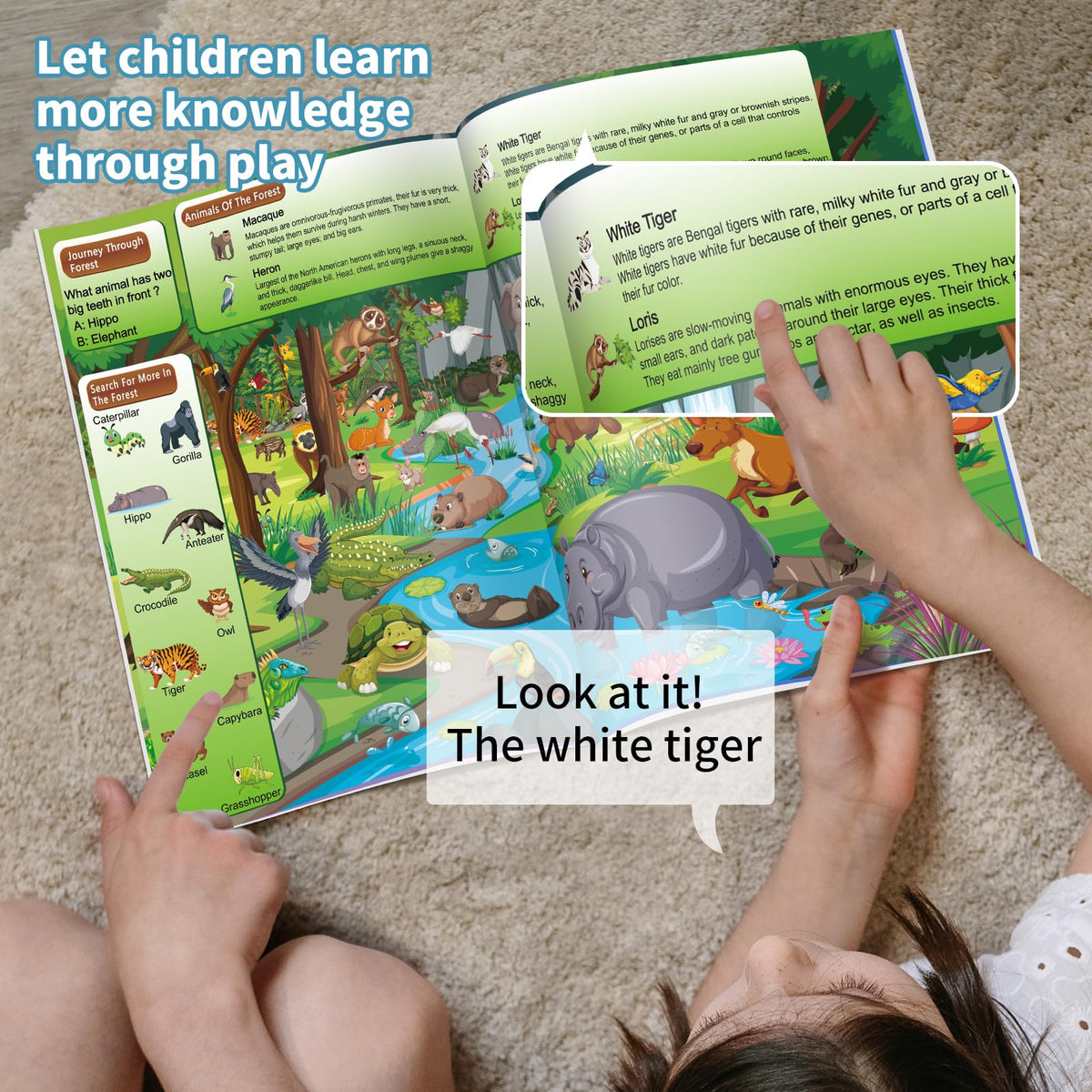 Elfew 4 Pack Puzzle Book for Kids 4-8 | Find & Learn: Ocean, Zoo, Jurassic, Forest