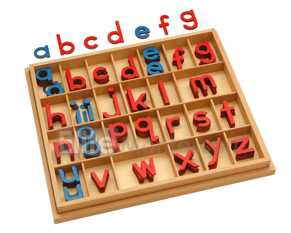 Elite Montessori Wooden Movable Alphabet with Box – Red & Blue, 5mm Thick | Preschool Spelling