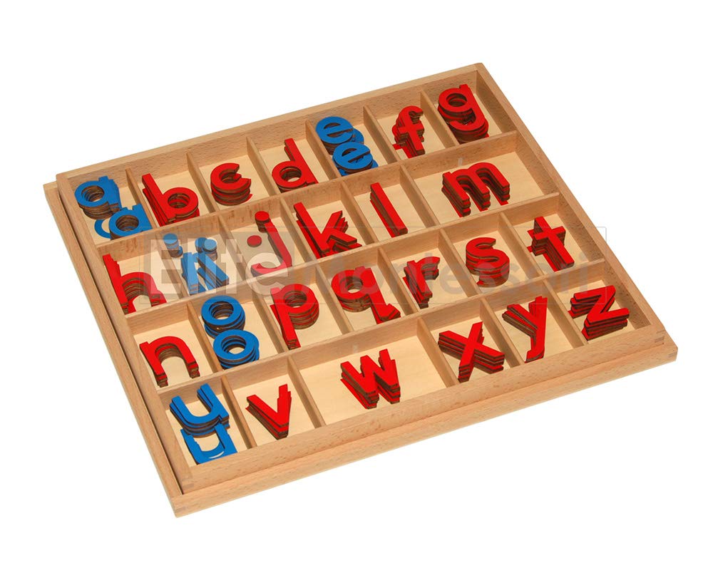 Elite Montessori Wooden Movable Alphabet with Box – Red & Blue, 5mm Thick | Preschool Spelling