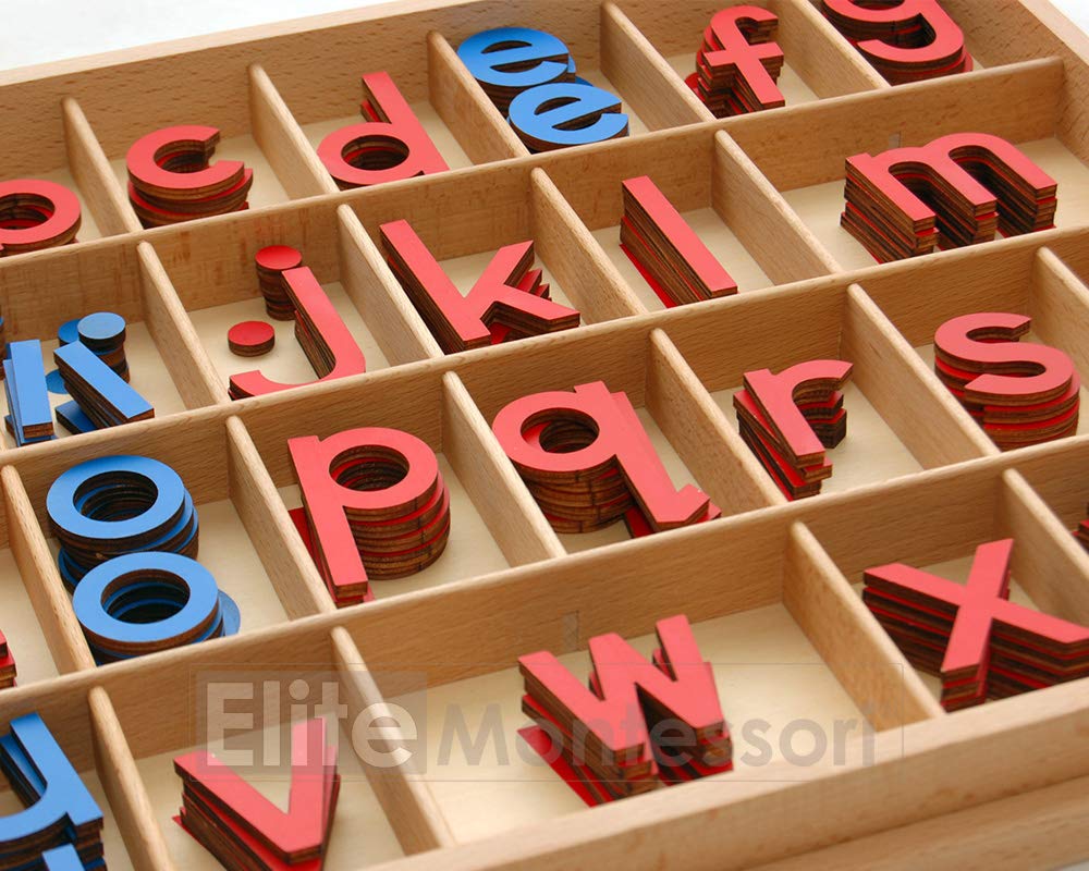 Elite Montessori Wooden Movable Alphabet with Box – Red & Blue, 5mm Thick | Preschool Spelling