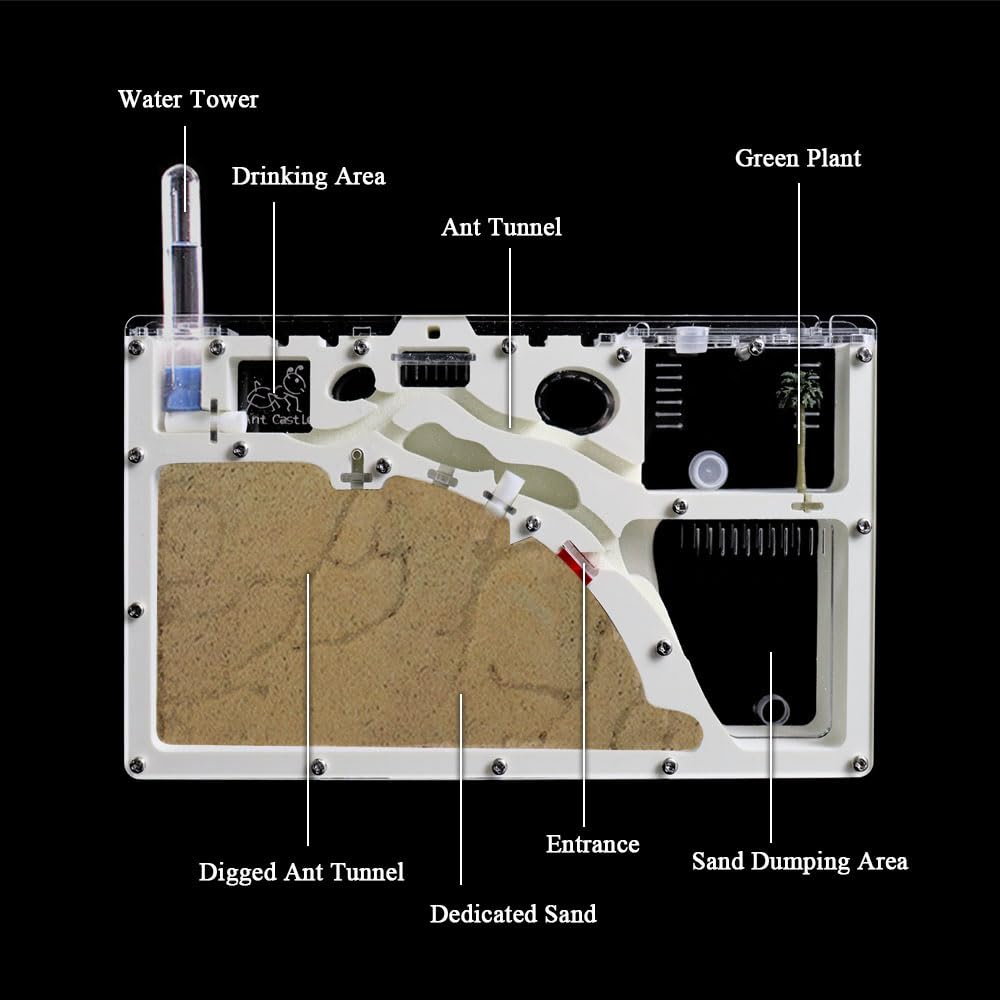 ELNMLHT Ant Farm Castle – Double-Sided Ant Habitat Kit with Yellow Sand & Tool Kit