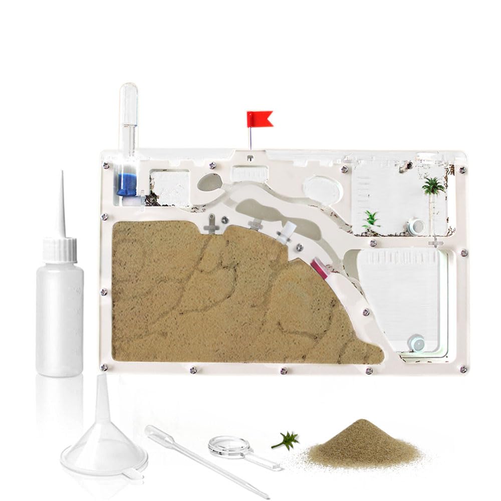 ELNMLHT Ant Farm Castle – Double-Sided Ant Habitat Kit with Yellow Sand & Tool Kit
