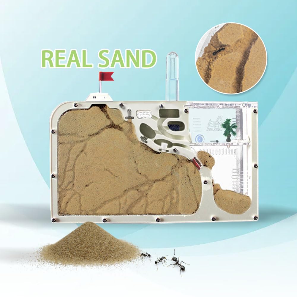 ELNMLHT Ant Farm Castle – Educational Live Ant Habitat Kit with Yellow Sand & Tool Kit