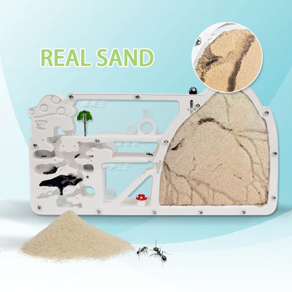 ELNMLHT Ant Farm Castle with Yellow Sand & Tool Kit | Educational Science Kit for Kids & Adults