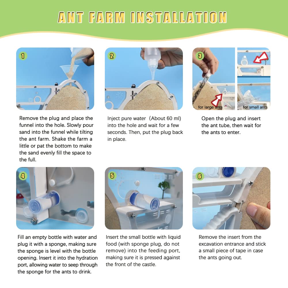 ELNMLHT Ant Farm Castle with Yellow Sand & Tool Kit | Educational Science Kit for Kids & Adults