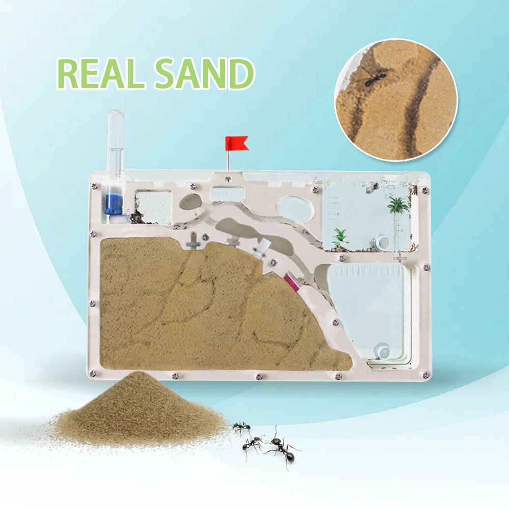 ELNMLHT Ant Farm Castle – Double-Sided Ant Habitat Kit with Yellow Sand & Tool Kit