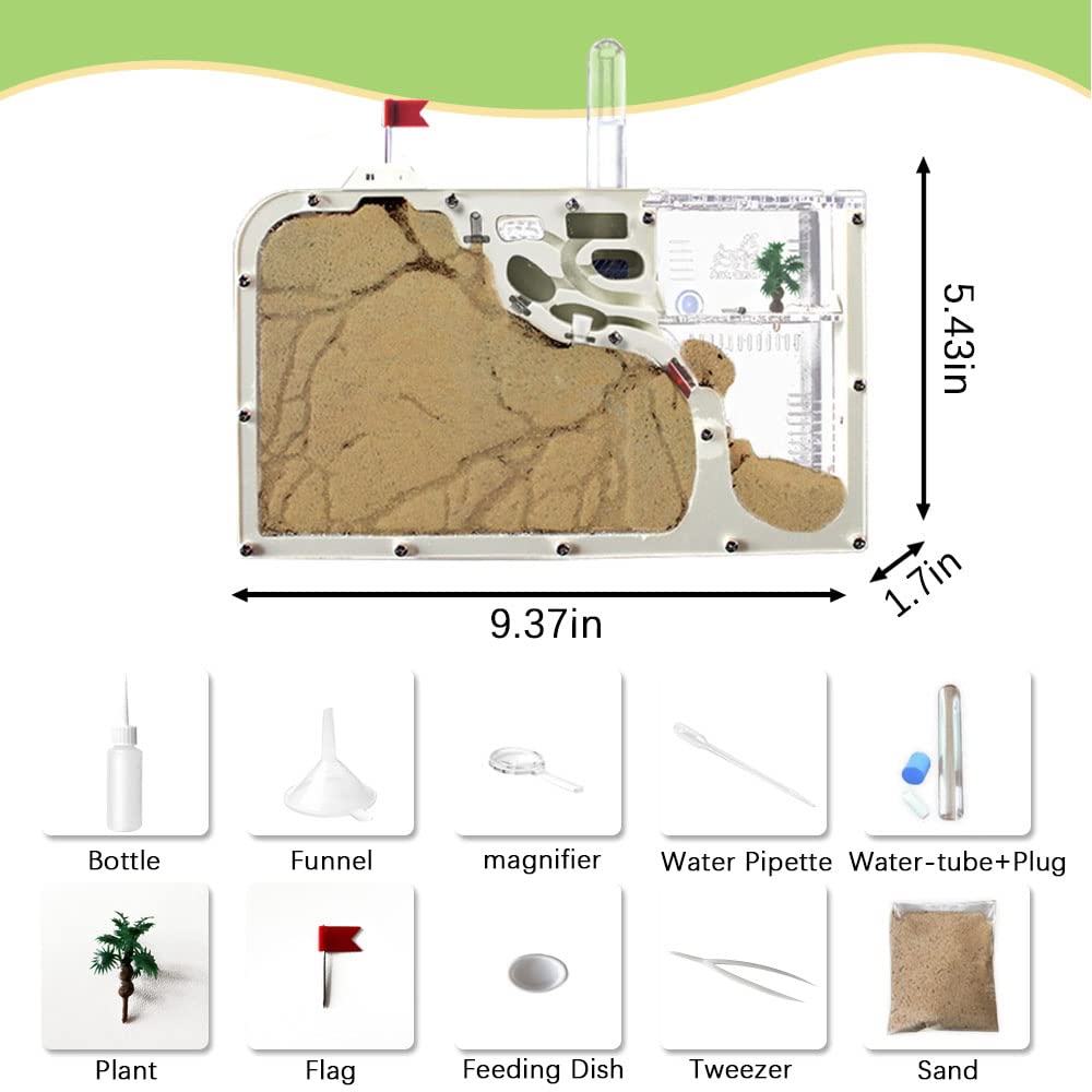 ELNMLHT Ant Farm Castle – Educational Live Ant Habitat Kit with Yellow Sand & Tool Kit