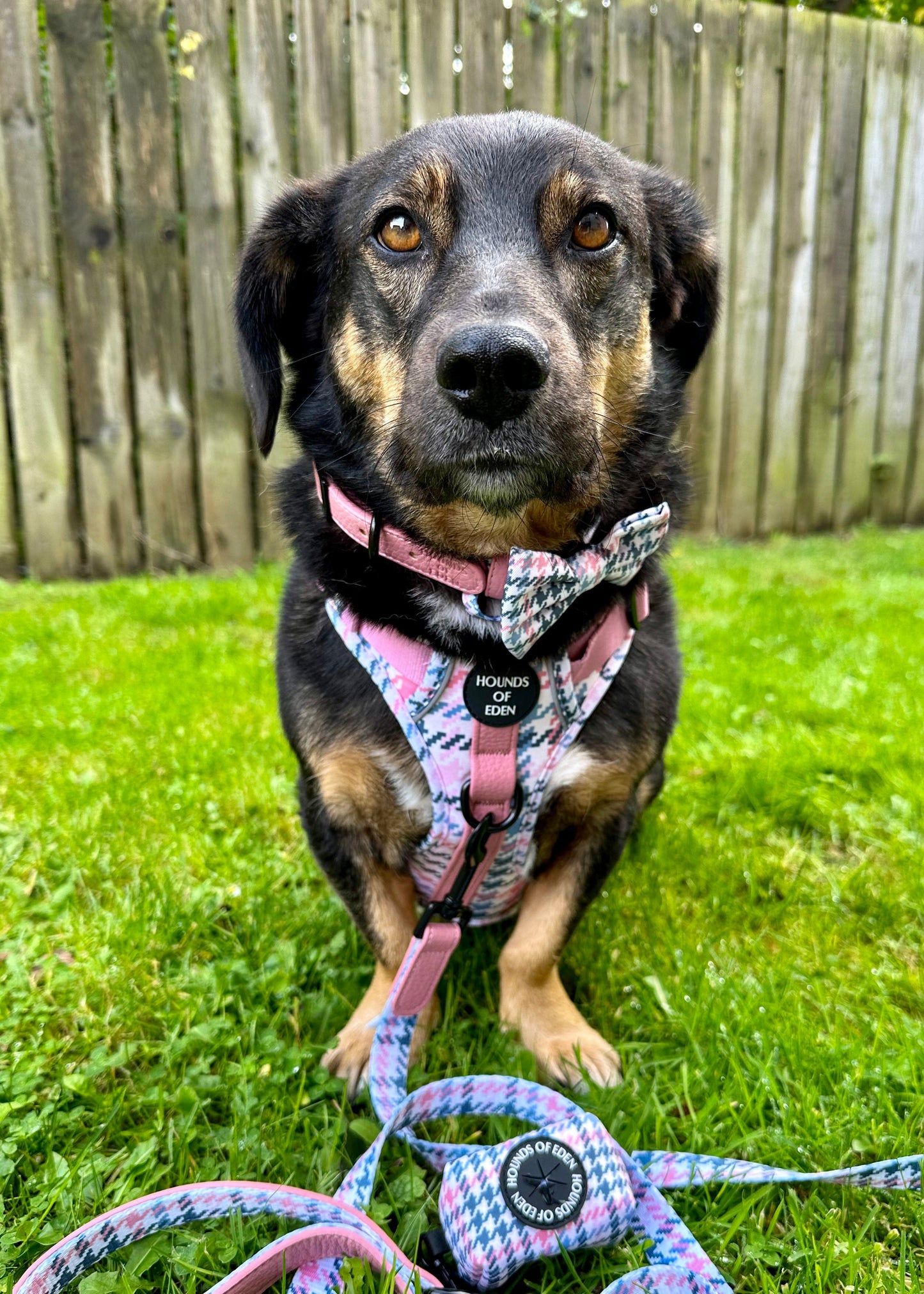Pink Houndstooth Design Poop Bag Holder