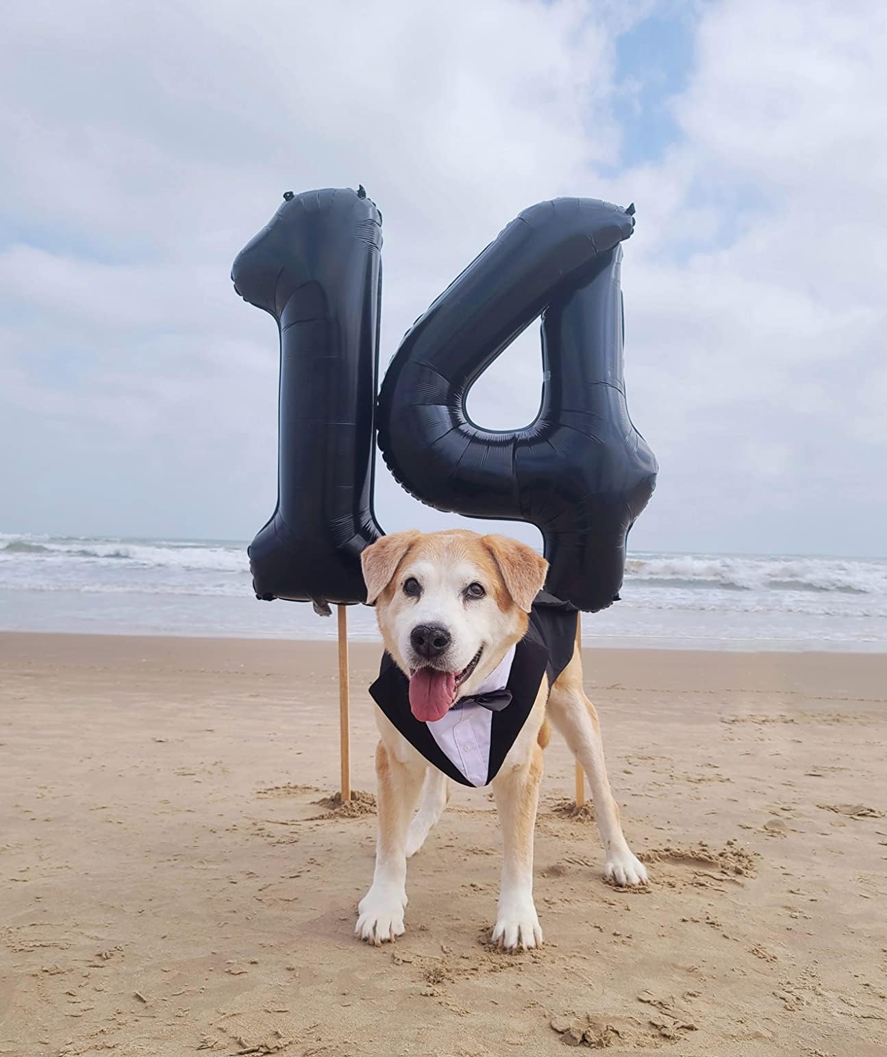 Enyeopd Numbers 7 Balloon – 40-Inch Black Balloon for Birthdays and Celebrations