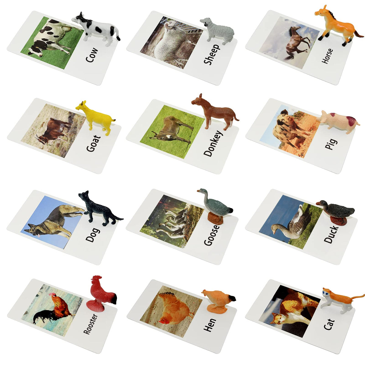 Esoes Montessori Animal Figures with Flash Cards – Realistic Farm Animals for Preschool Learning