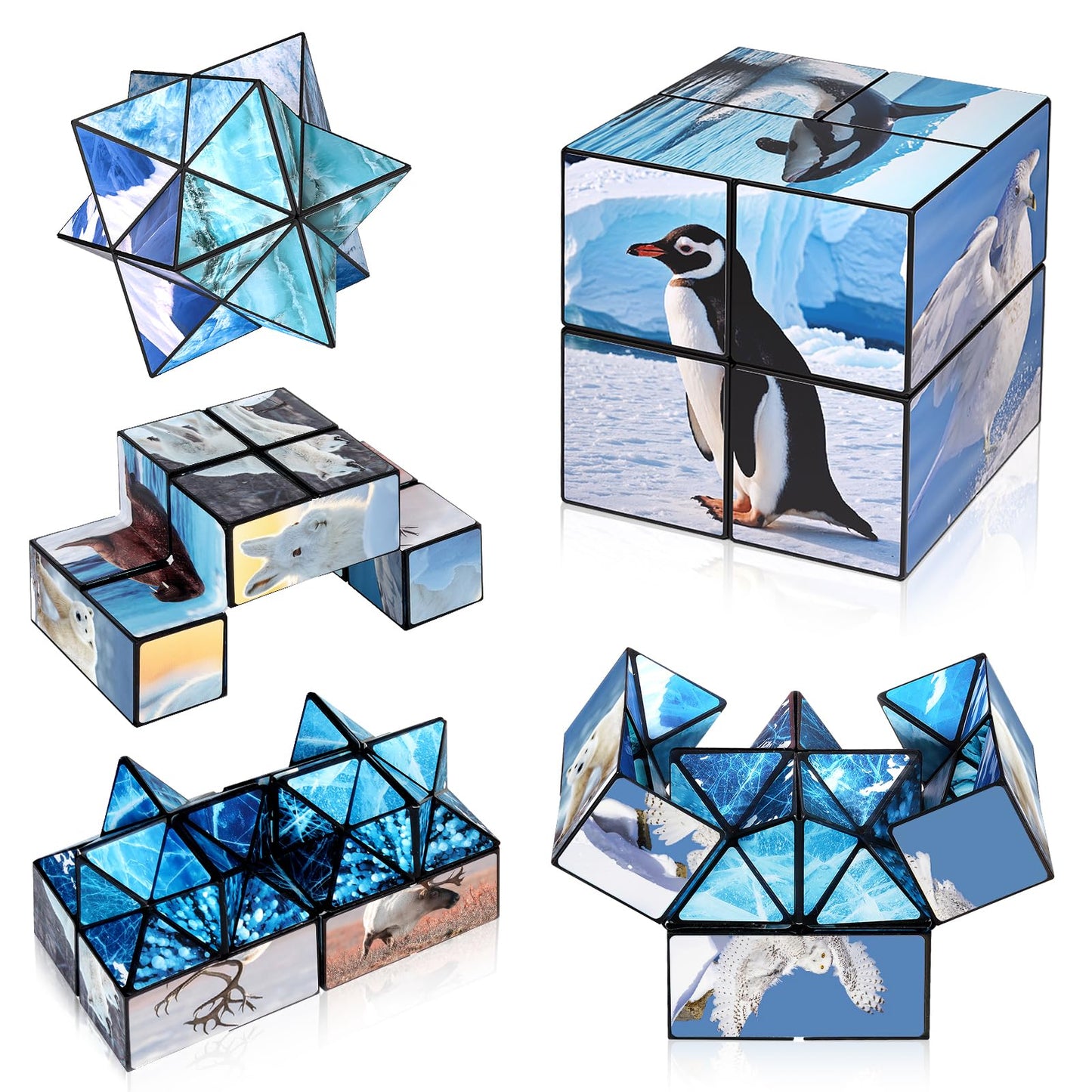 Euclidean Cube 2-in-1 Yoshimoto Polar Series – Fidget Toy for Ages 8-12