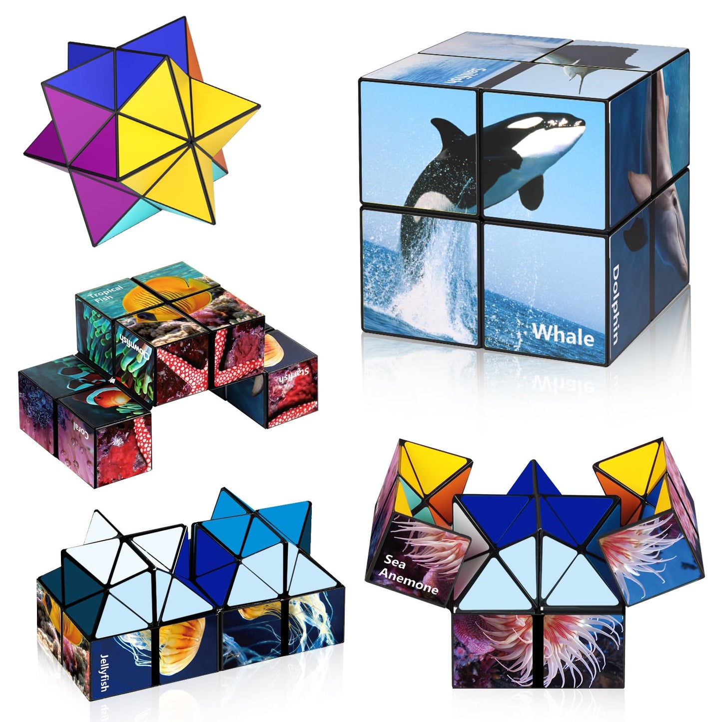 Star Cube Magic Cube Set — 2-in-1 Yoshimoto Cube for Kids & Adults | Euclidean Cube