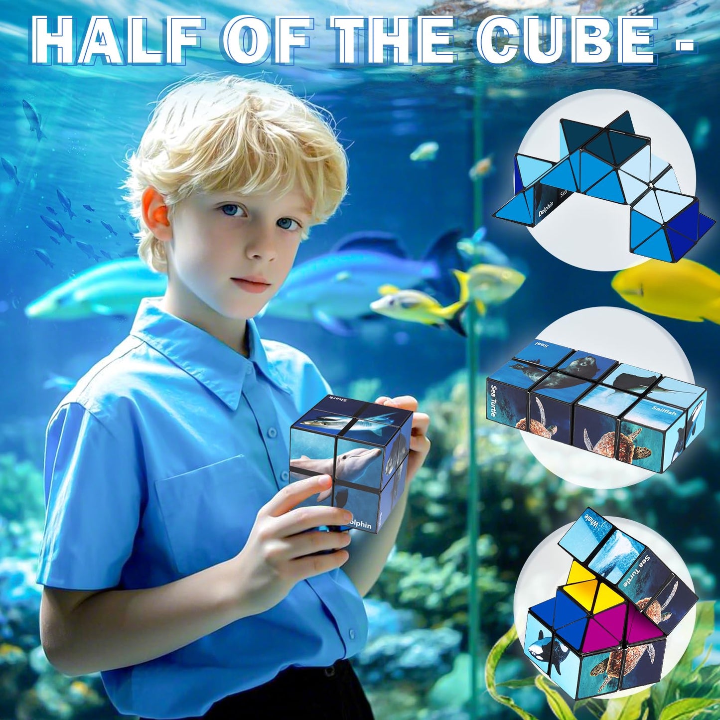Star Cube Magic Cube Set — 2-in-1 Yoshimoto Cube for Kids & Adults | Euclidean Cube