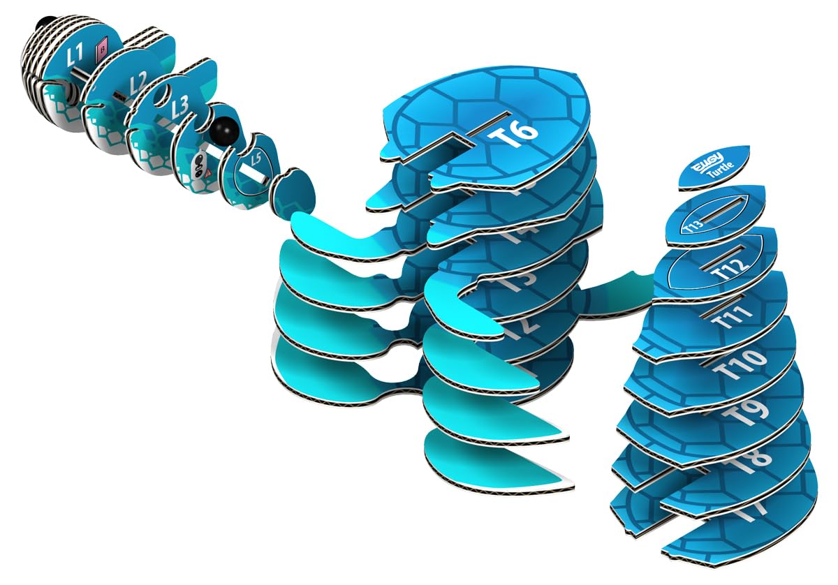 EUGY Sea Turtle 3D Puzzle – Eco-Friendly Educational Toy for Kids 6+