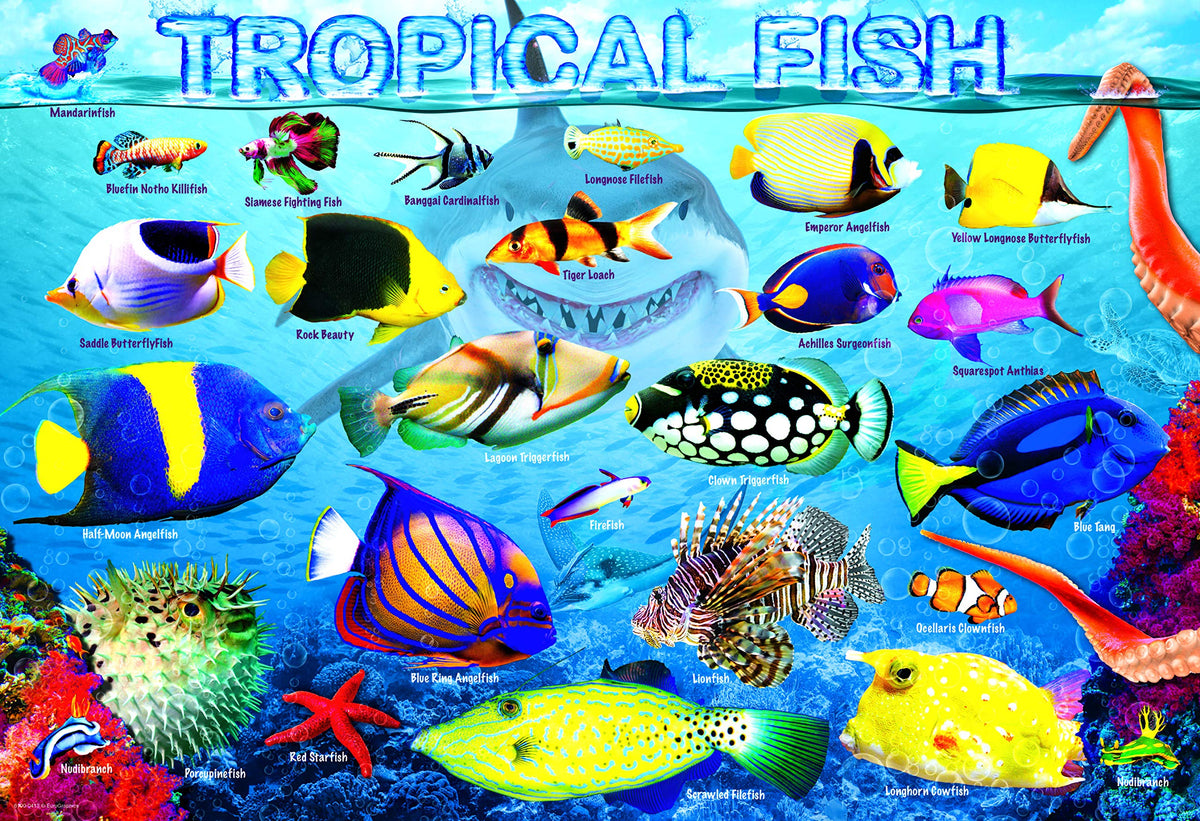 EuroGraphics Tropical Fish 100-Piece Puzzle – Colorful Ocean Scene | Finished 13x19