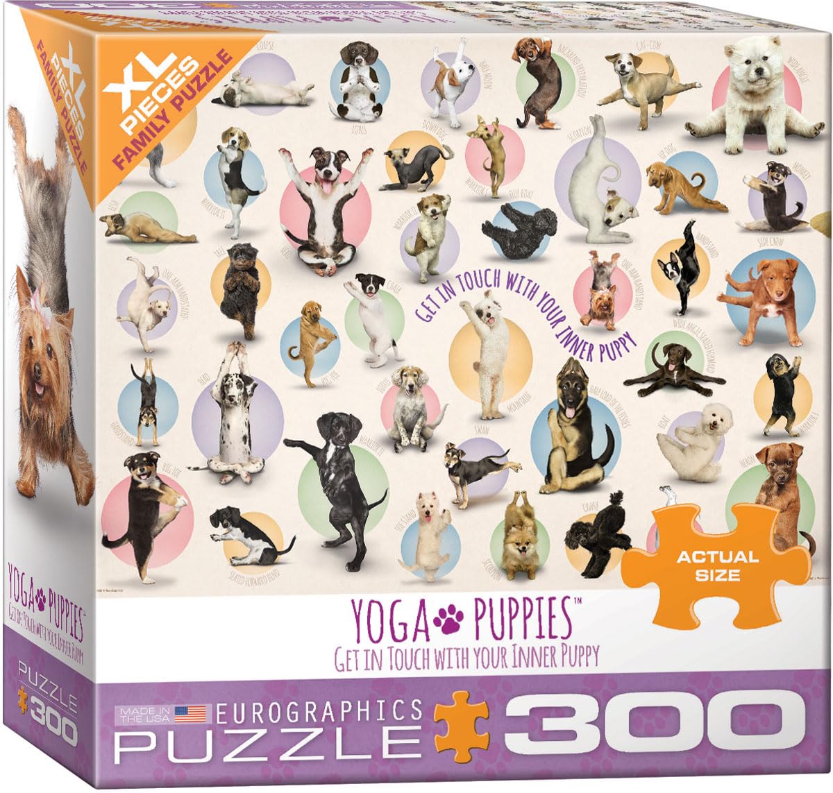 EuroGraphics Yoga Puppies 300-Piece Puzzle (Small Box) – Colorful Family Fun