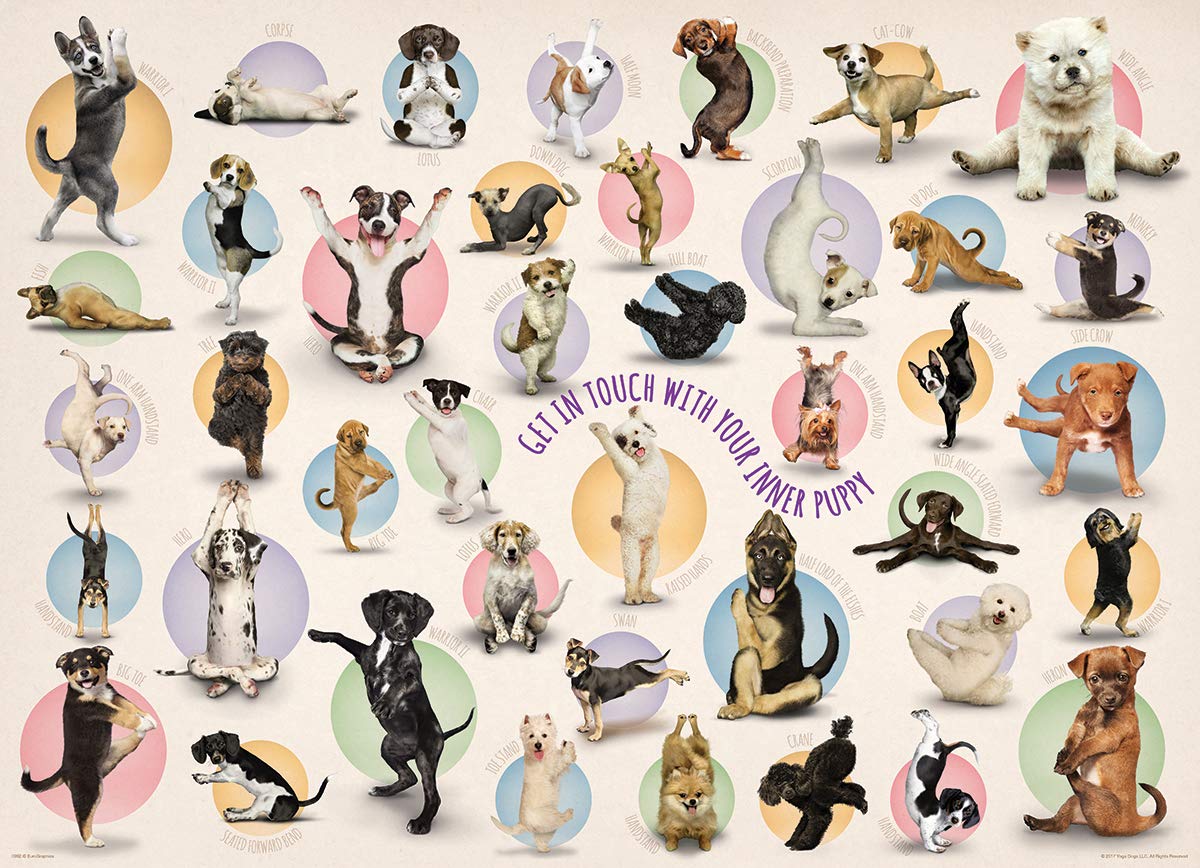 EuroGraphics Yoga Puppies 300-Piece Puzzle (Small Box) – Colorful Family Fun