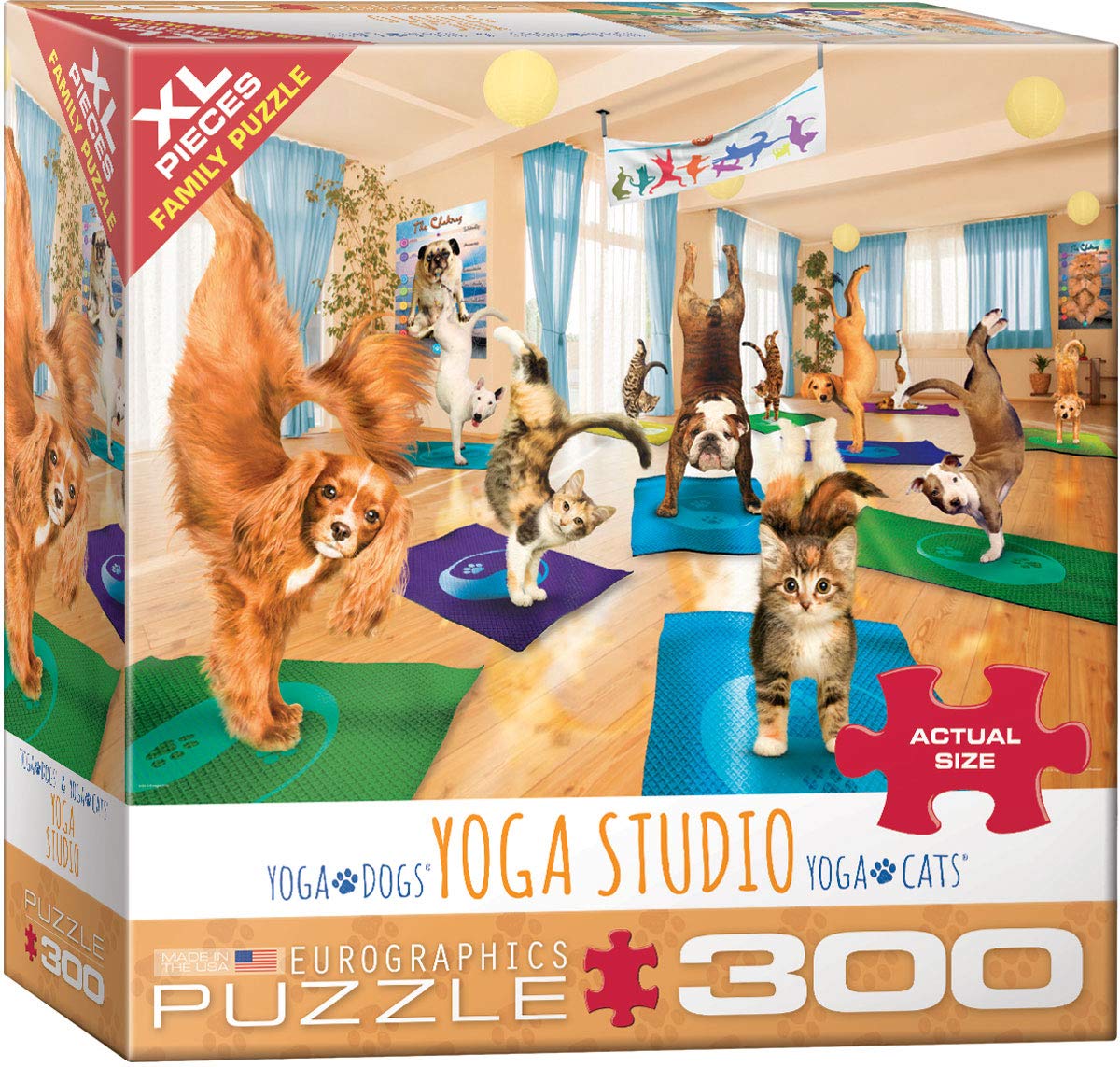 EuroGraphics Yoga Studio 300-Piece Puzzle — Premium US-Made Jigsaw