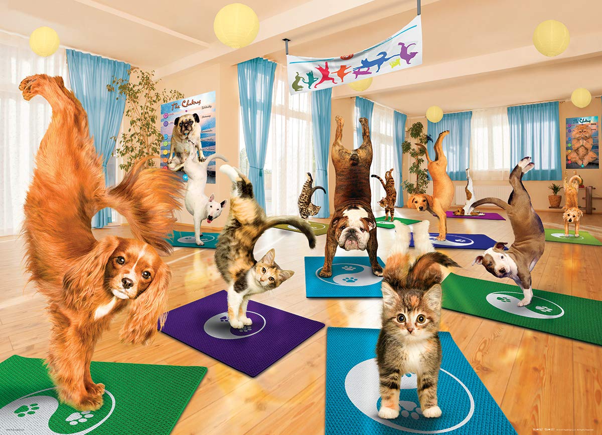 EuroGraphics Yoga Studio 300-Piece Puzzle — Premium US-Made Jigsaw