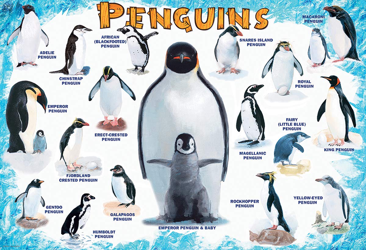 EuroGraphics Penguins 100-Piece Jigsaw Puzzle — 13 x 19 Inches, Beginner Friendly