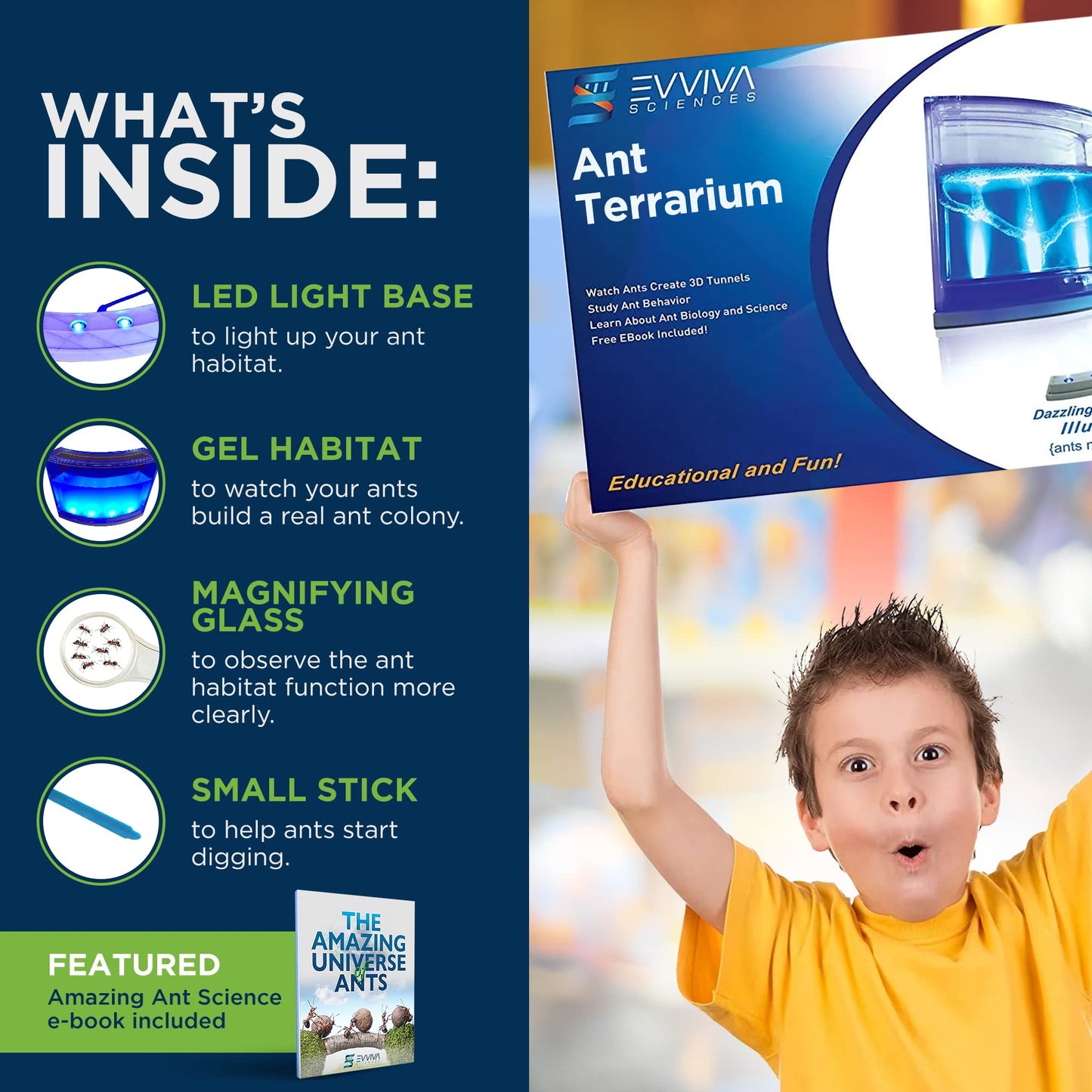 Evviva Ant Habitat W/LED Light – Educational Gel Ecosystem for Kids & Adults