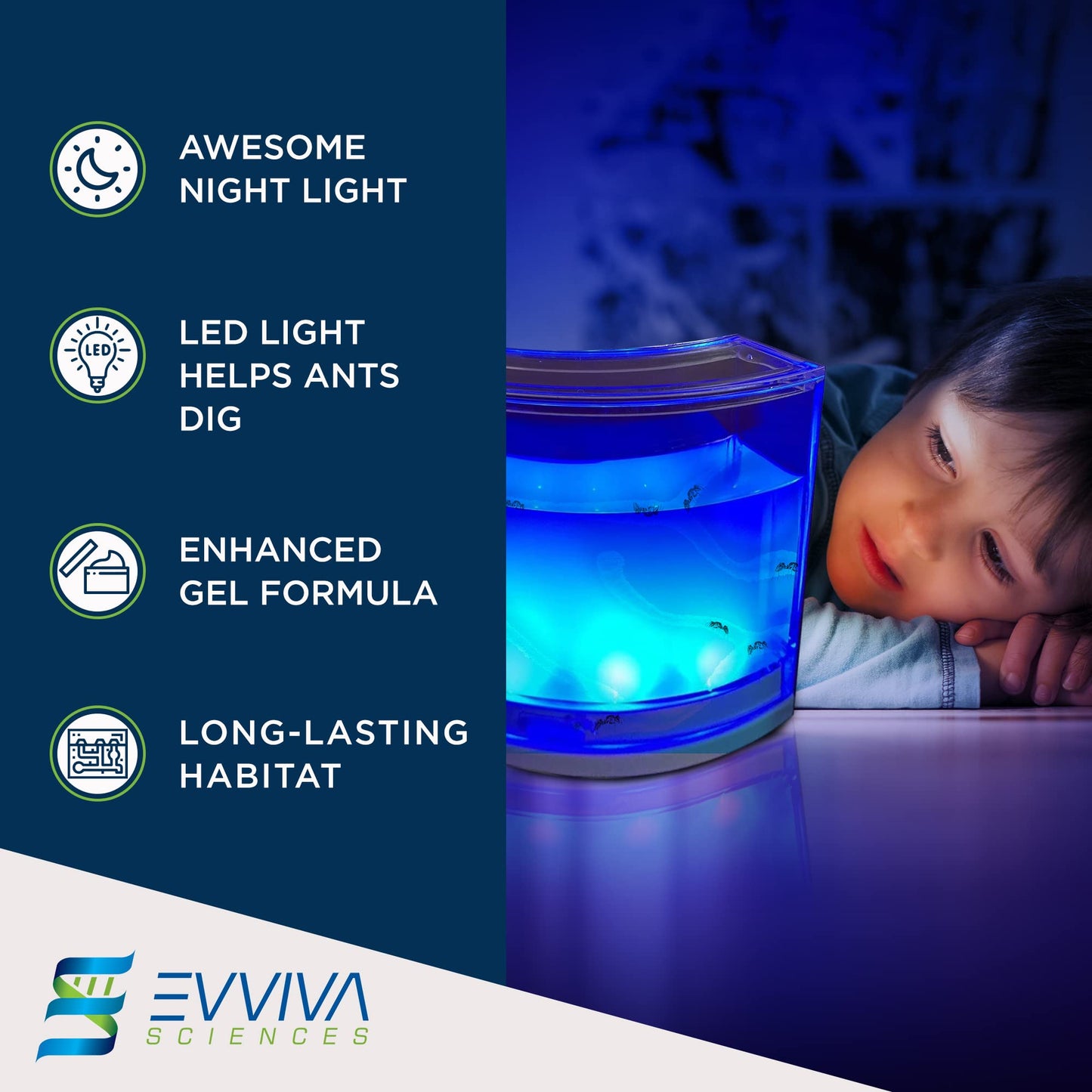 Evviva Ant Habitat W/LED Light – Educational Gel Ecosystem for Kids & Adults