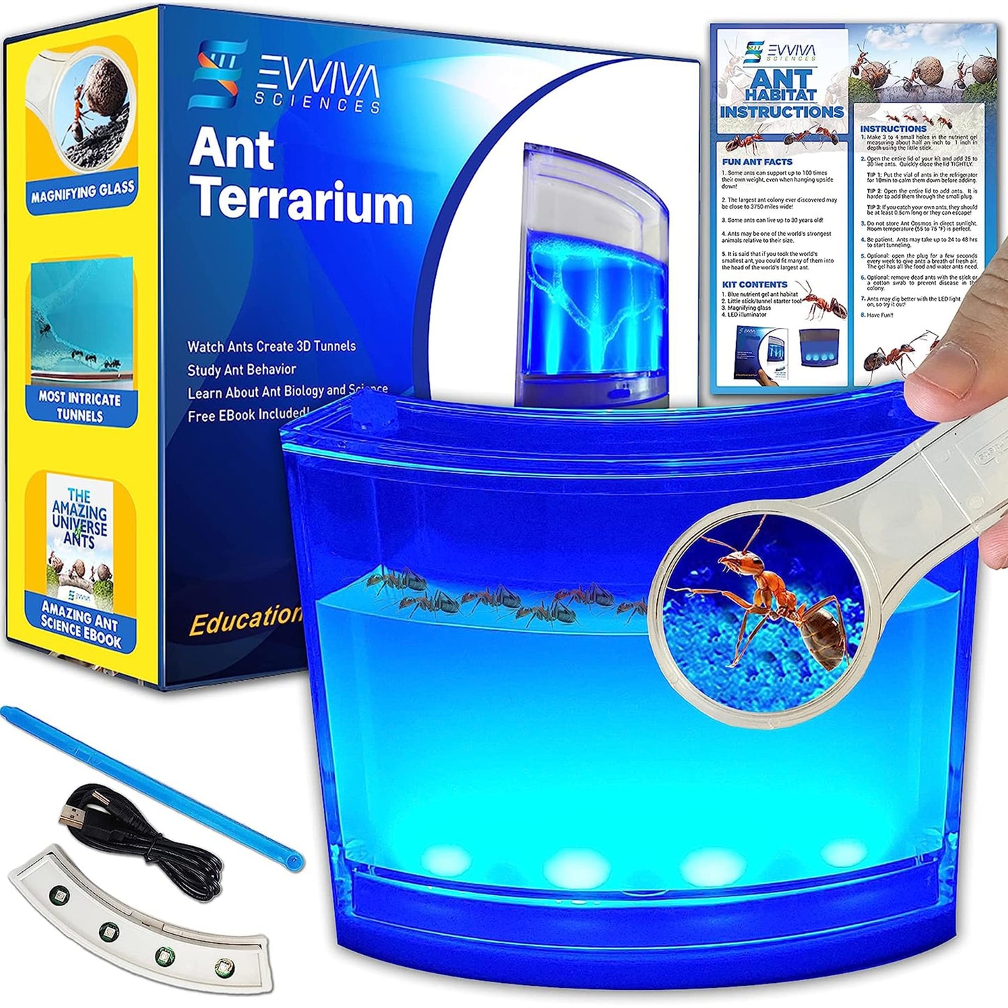 Evviva Ant Habitat W/LED Light – Educational Gel Ecosystem for Kids & Adults