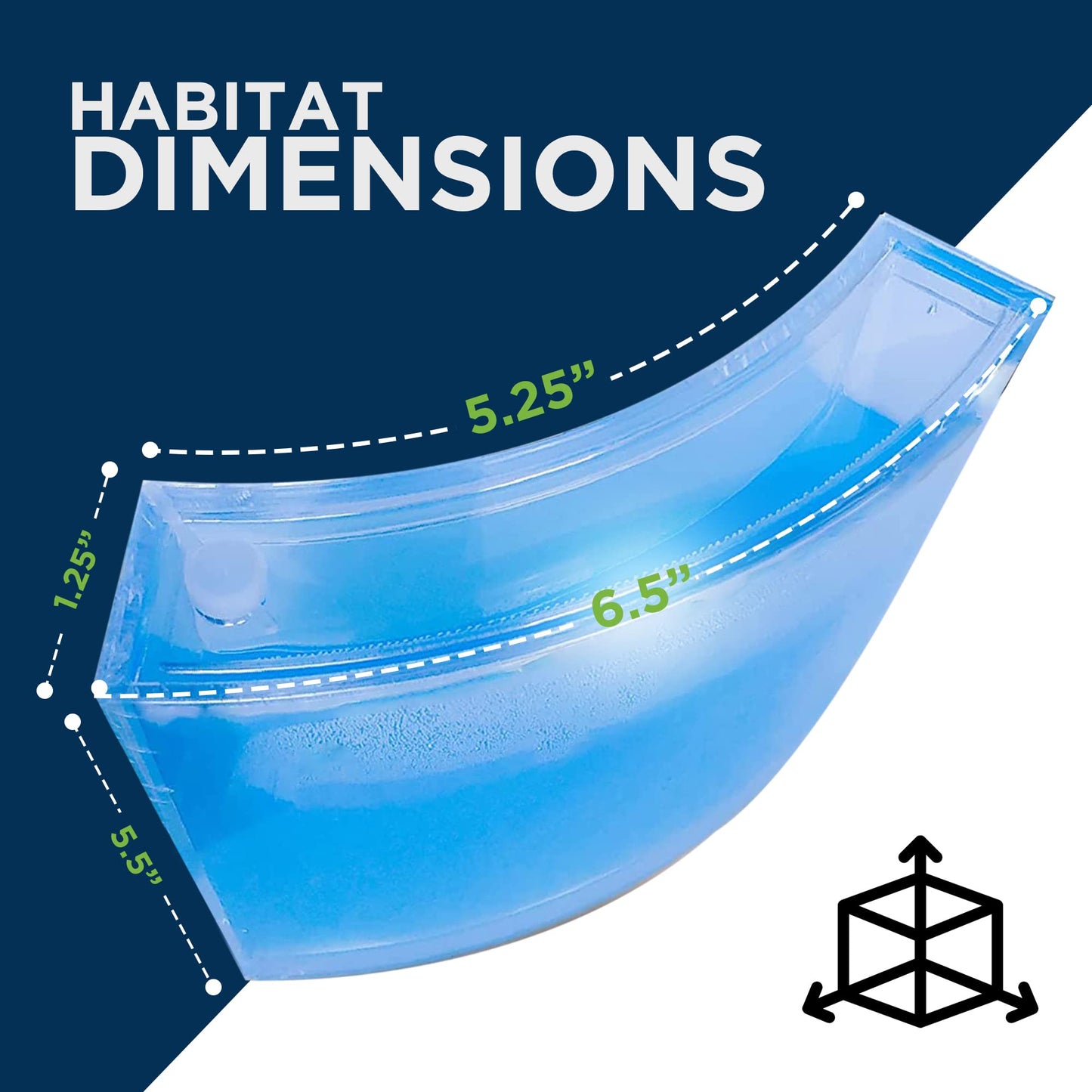 Evviva Ant Habitat W/LED Light – Educational Gel Ecosystem for Kids & Adults