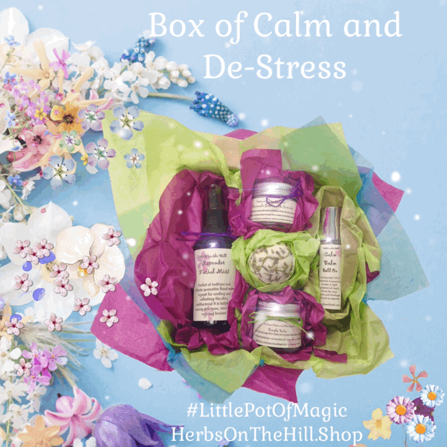 Exam & Stress Survival Kit