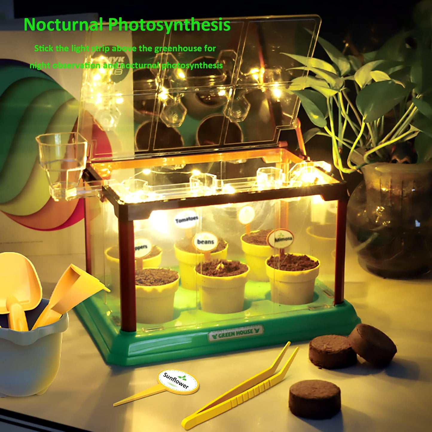 EXBEPE Kids Gardening Kit Greenhouse Terrarium – Educational Plant Growing Set for Boys & Girls