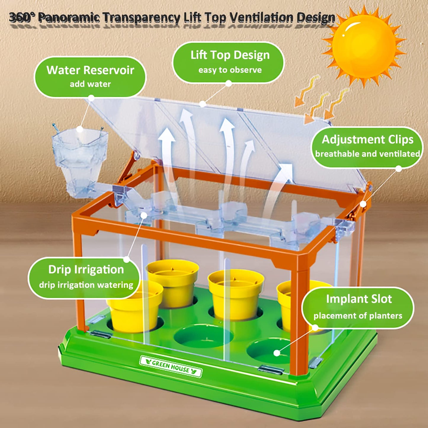 EXBEPE Kids Gardening Kit Greenhouse Terrarium – Educational Plant Growing Set for Boys & Girls