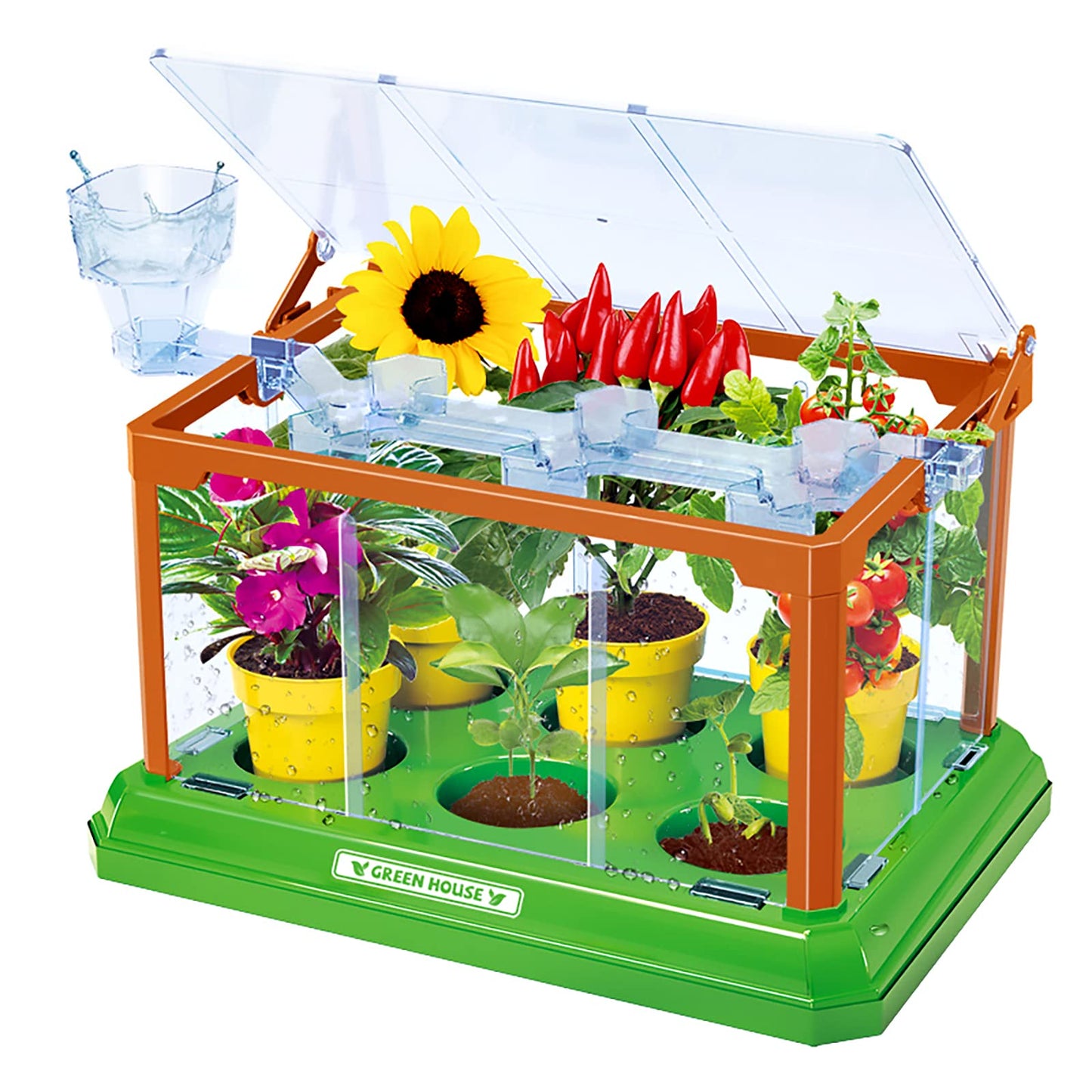 EXBEPE Kids Gardening Kit Greenhouse Terrarium – Educational Plant Growing Set for Boys & Girls