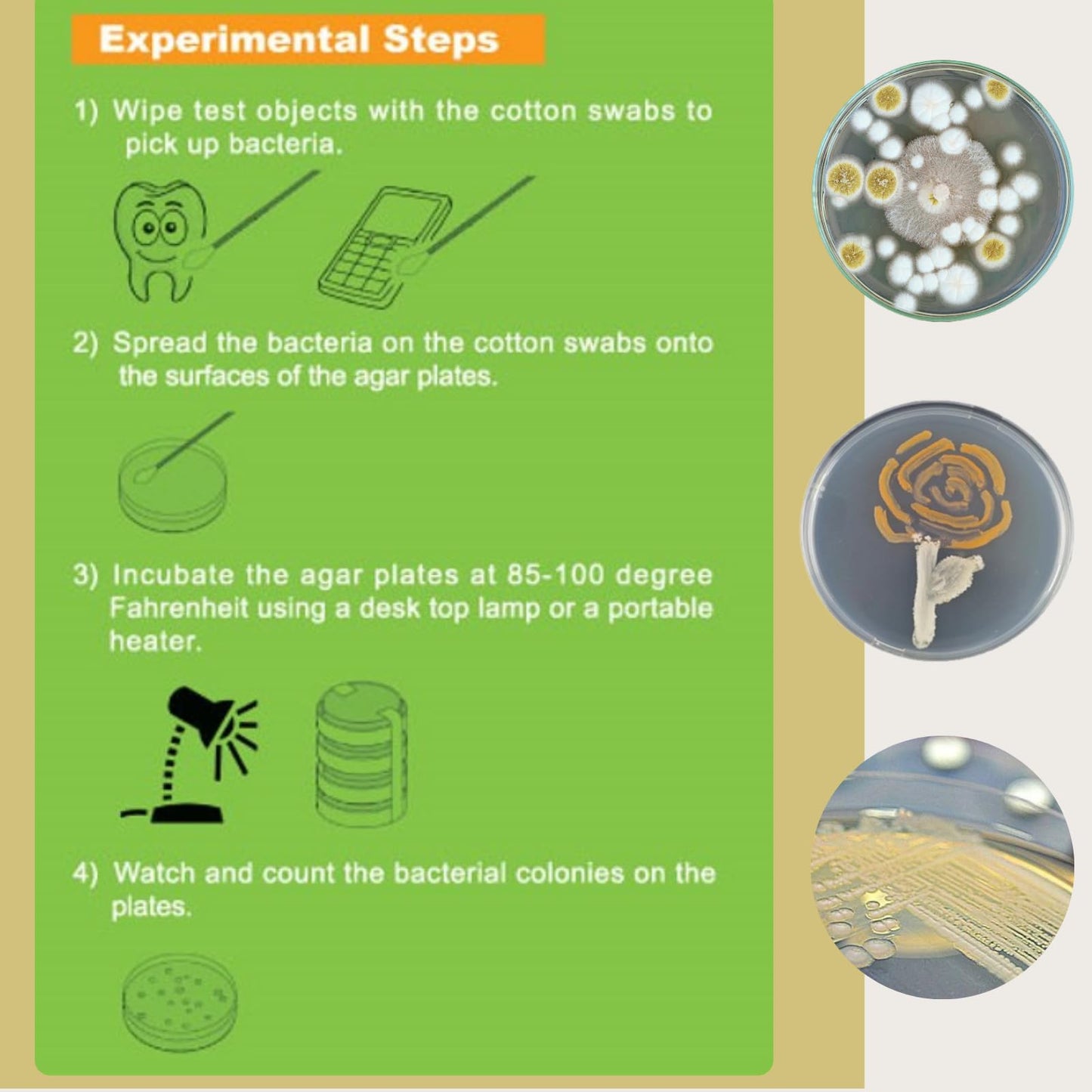 EZ BioResearch Bacteria Science Kit IV - Prepoured LB-Agar Plates, Swabs, and Free Science Fair E-Book