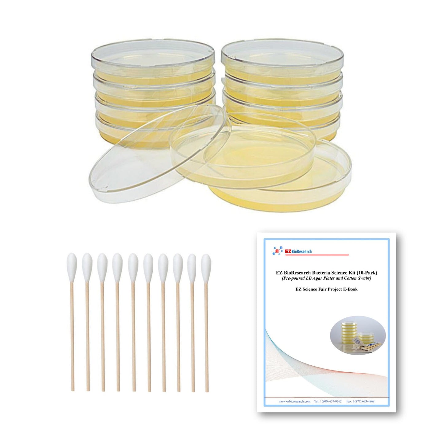 EZ BioResearch Bacteria Science Kit IV - Prepoured LB-Agar Plates, Swabs, and Free Science Fair E-Book
