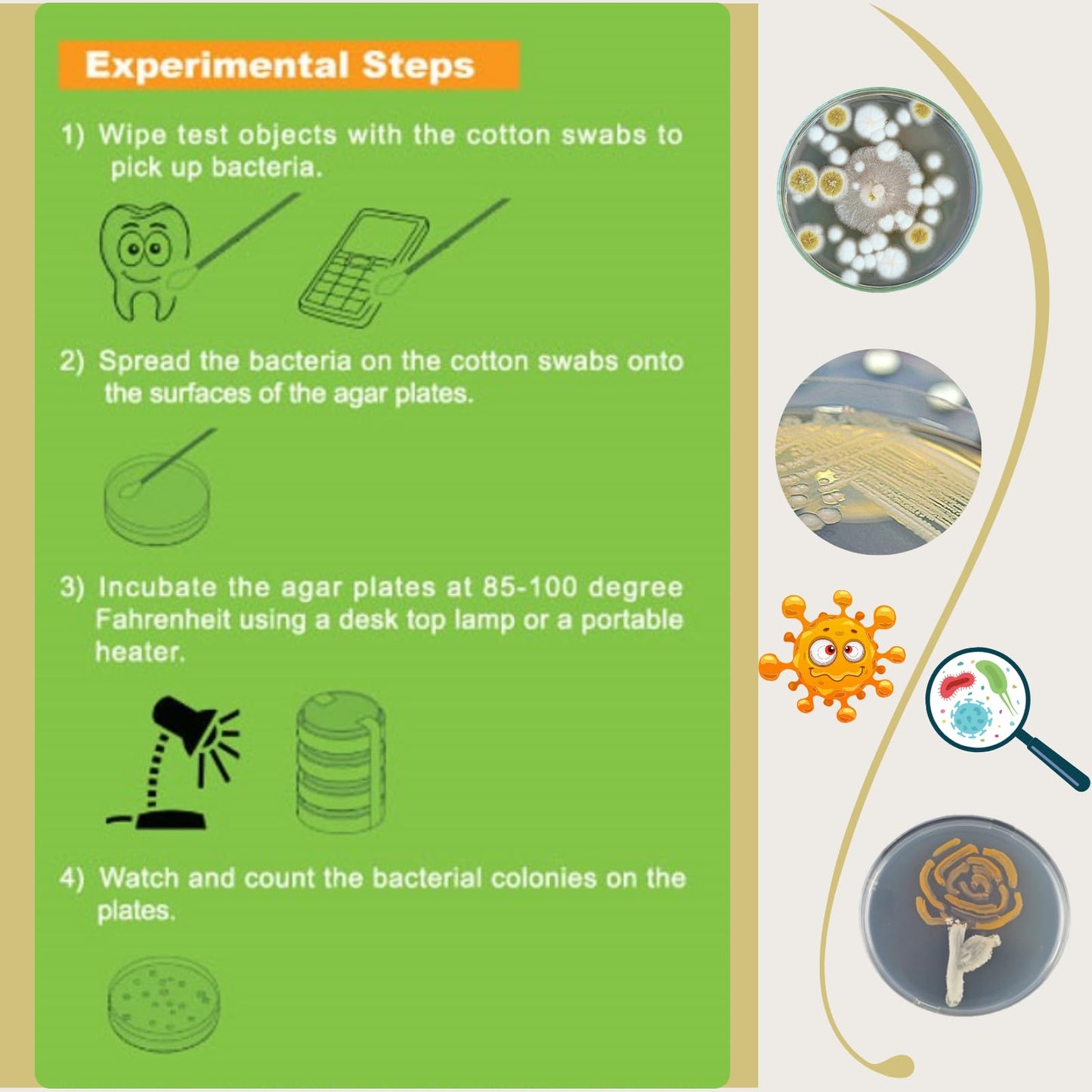 EZ BioResearch Bacteria Science Kit (IV) Gift Pack | Prepoured LB-Agar Plates & Swabs + Free Science Fair E-Book
