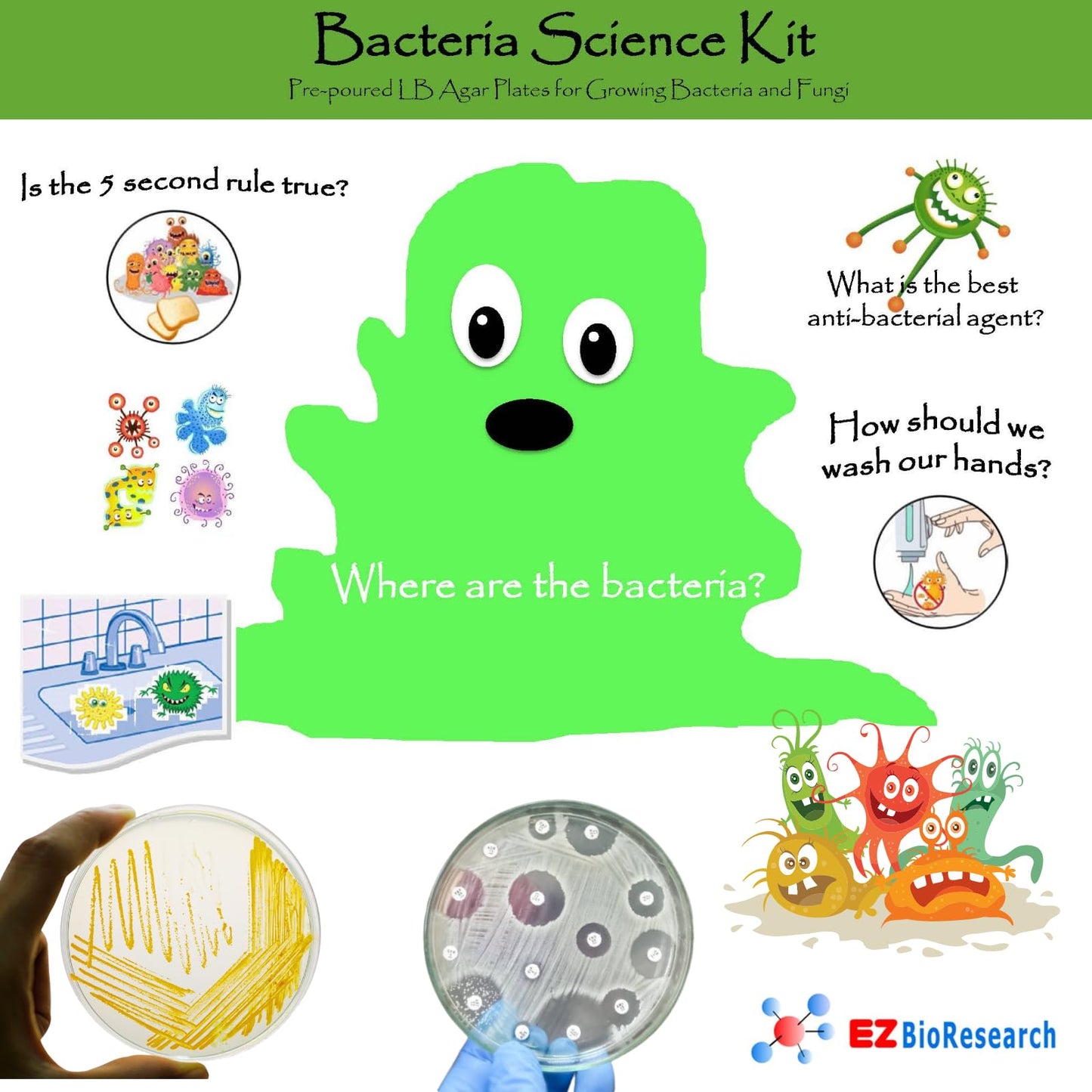 EZ BioResearch Bacteria Science Kit (IV) Gift Pack | Prepoured LB-Agar Plates & Swabs + Free Science Fair E-Book