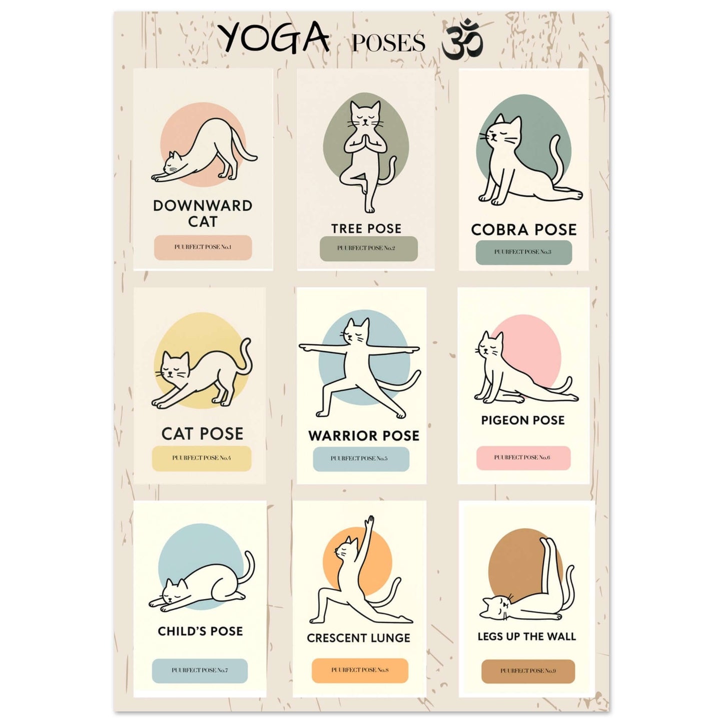 Funny Cat Yoga Wall Art