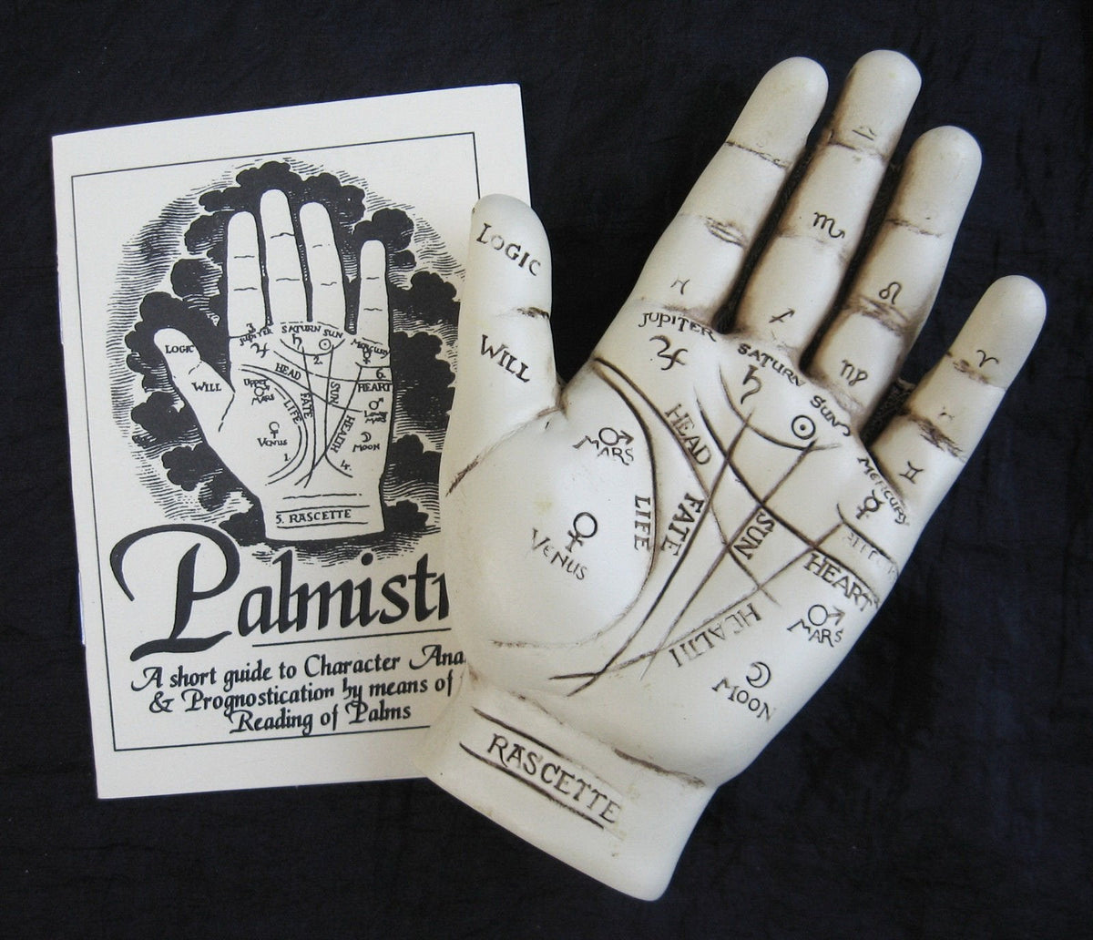 Fantasy Gifts Palmistry Hand Model – Resin Sculpture with Booklet for Palm Reading