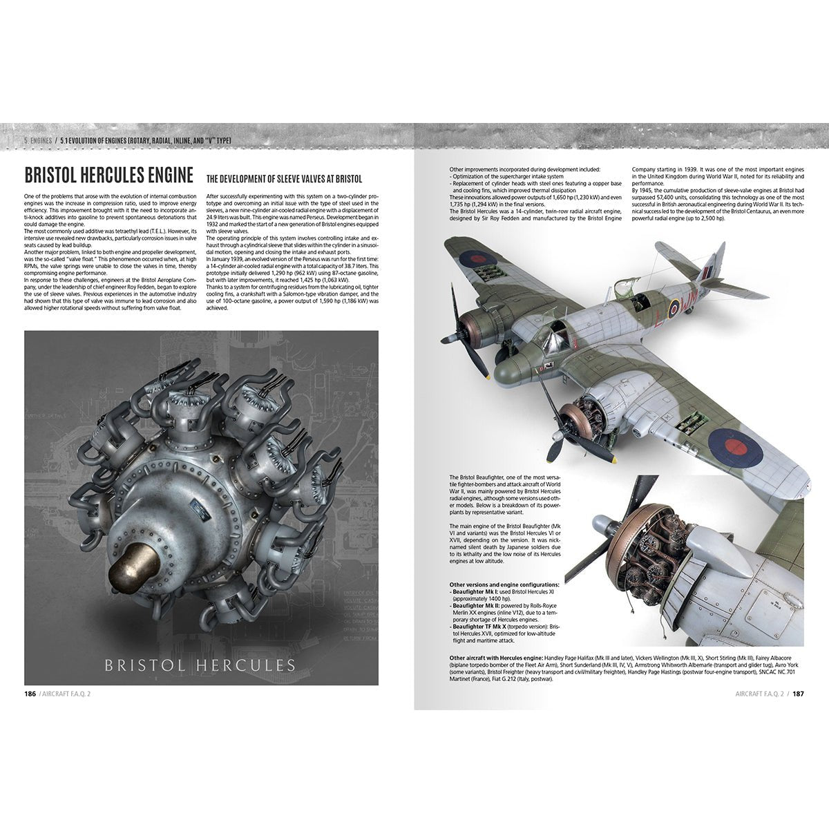 F.A.Q. 2 Aircraft Scale Modelling by Daniel Zamarbide (AK644)