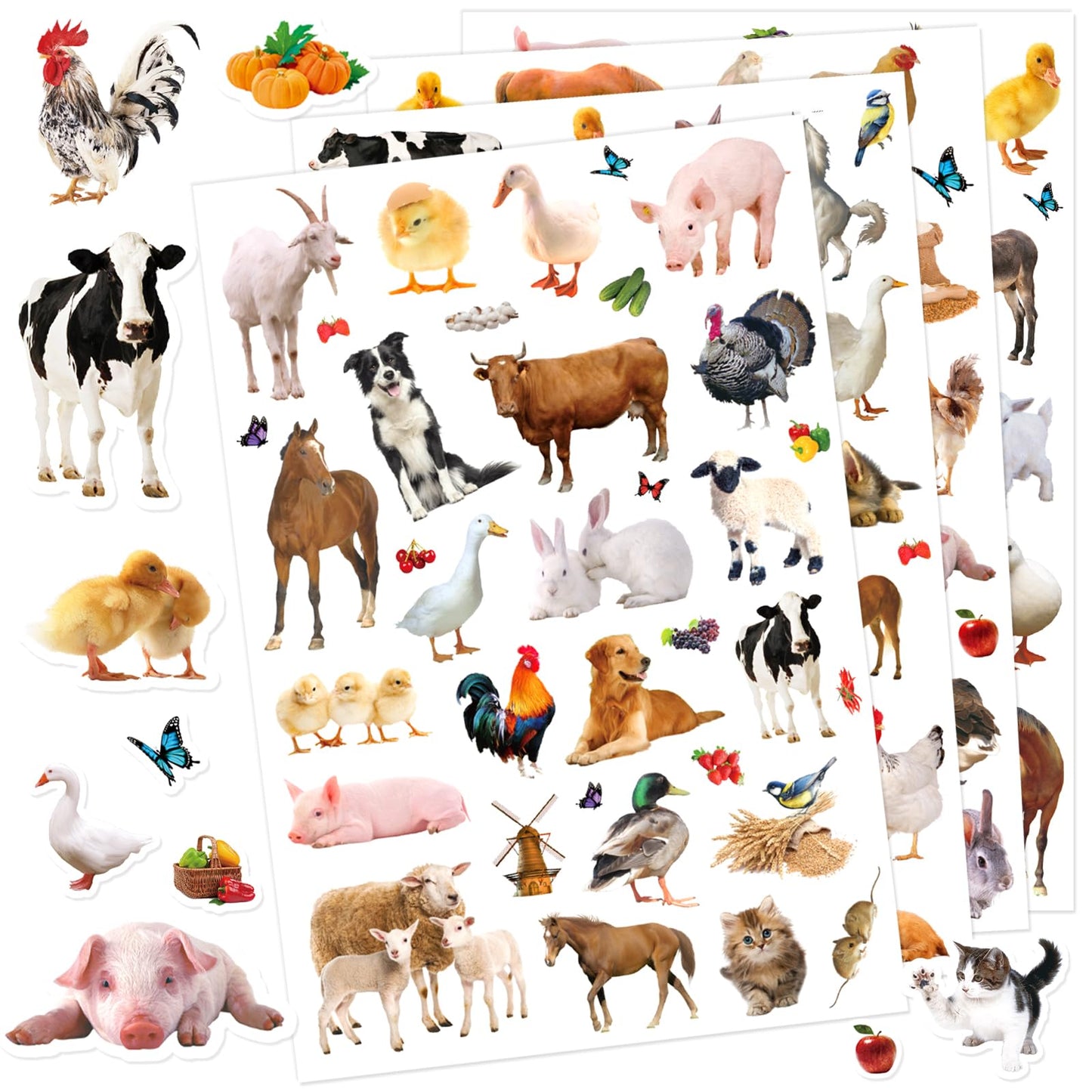 Farm Animals Stickers 720 Count — 20 Sheets, 144 Designs for Scrapbooks, Calendars & Gifts