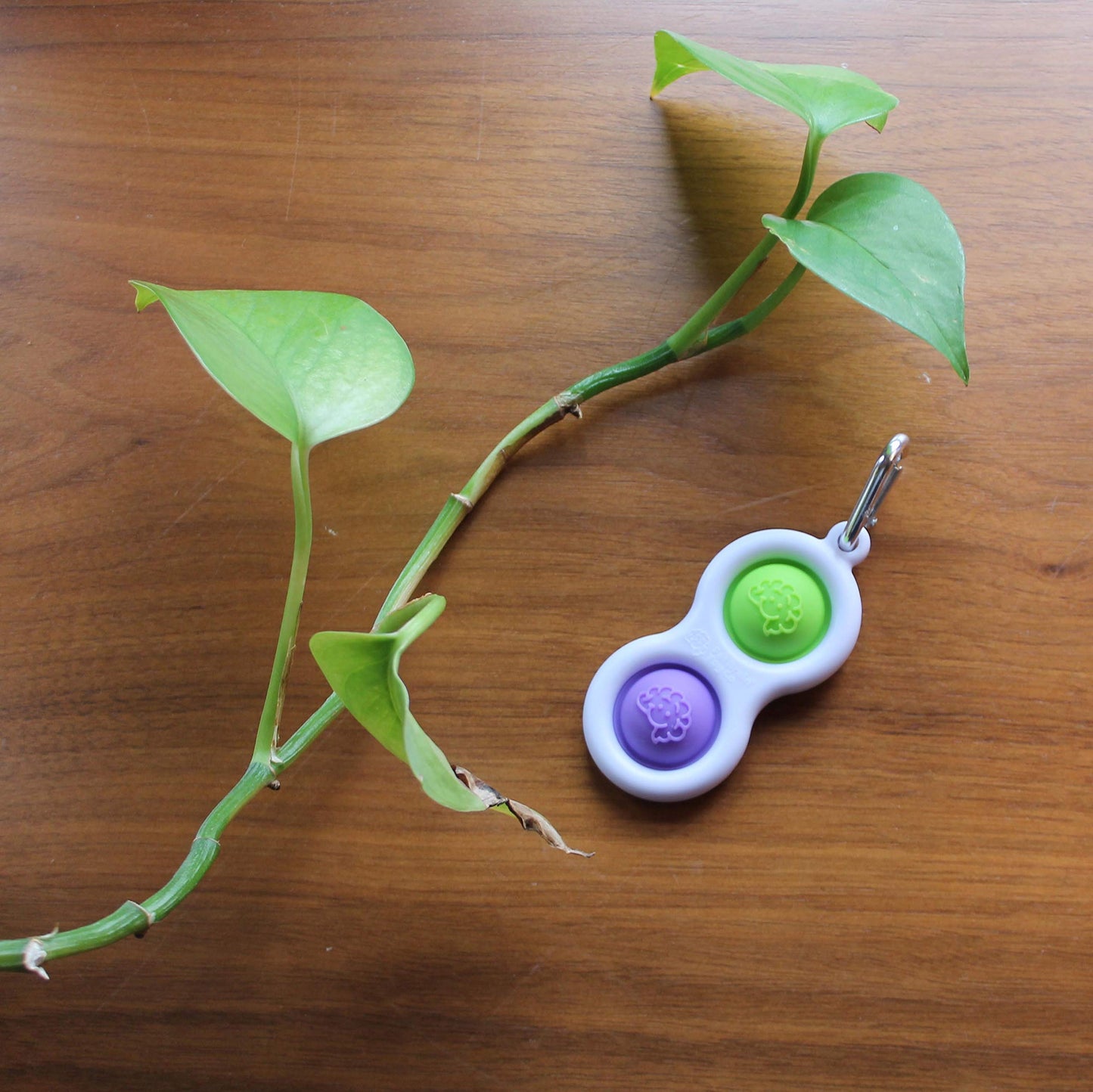 Fat Brain Toys Simpl Dimpl - Purple/Lime Popping Fidget Keychain