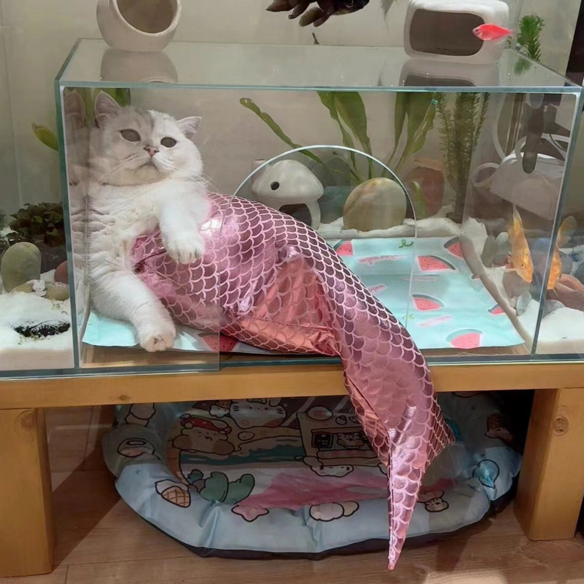 Mermaid Tail Cat Fishtail Decoration