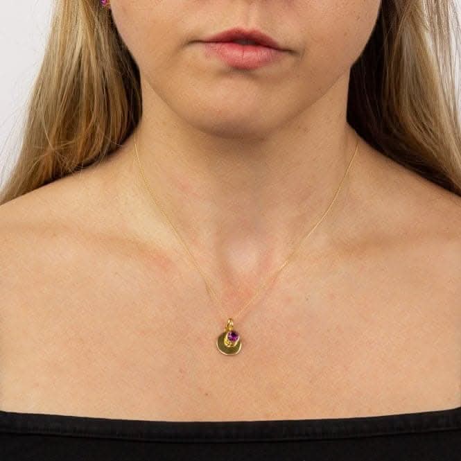 February Yellow Gold Plated Birthstone Engravable Disc Necklace P5009