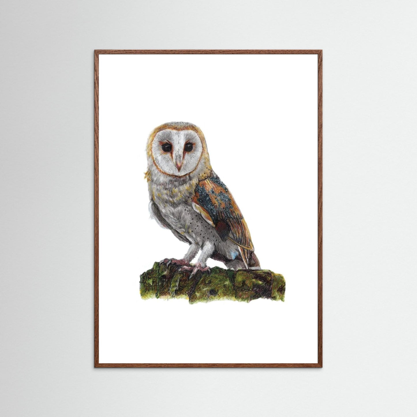 Barn Owl Wildlife Framed Art Print | British Bird Wall Art