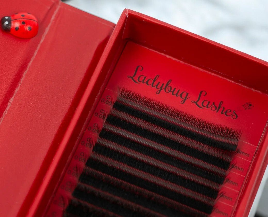 W Lash Mixed Tray