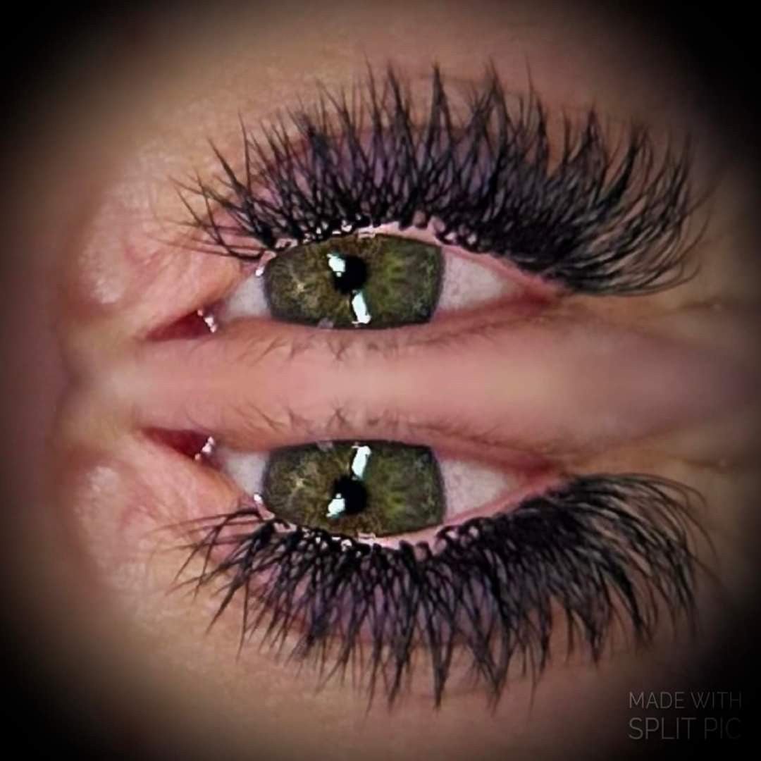 W Lash Mixed Tray
