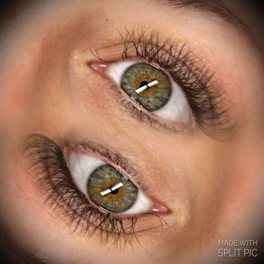 Sample YY Lash Tray