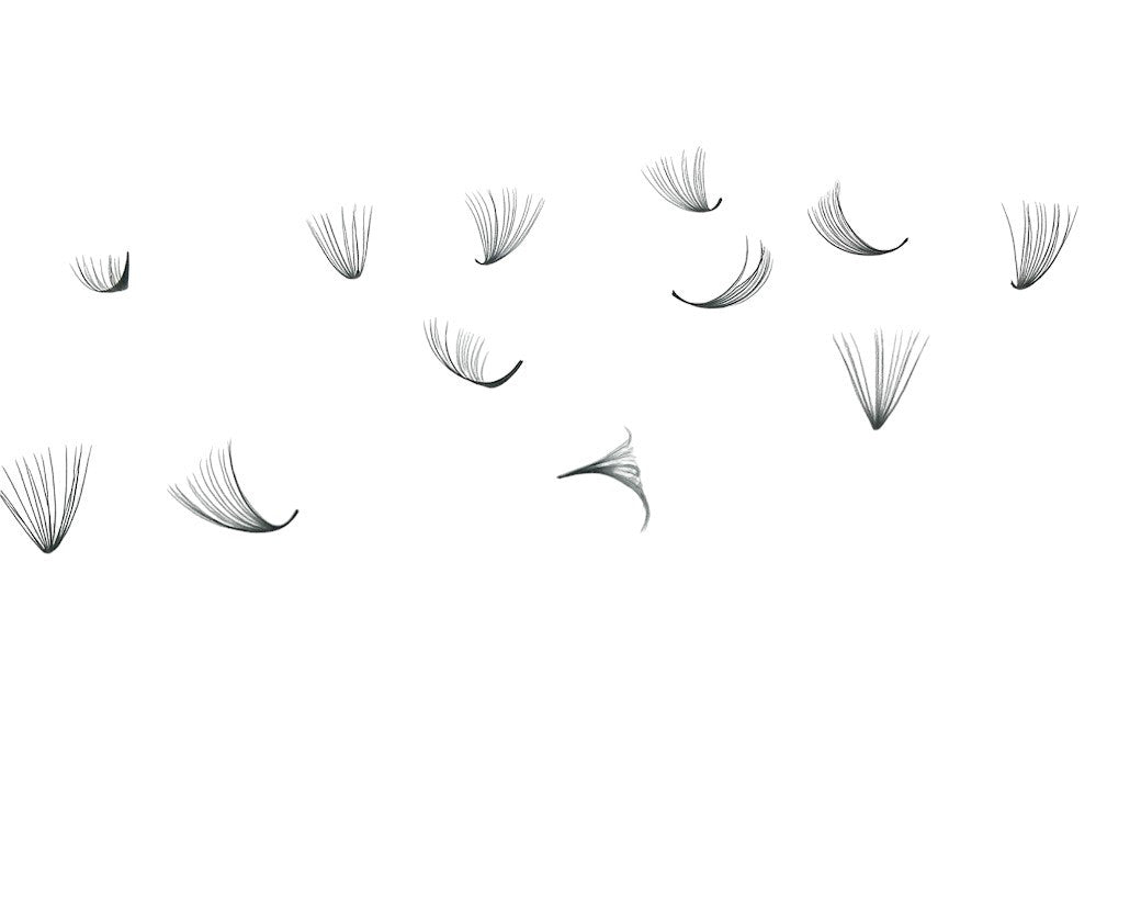Loose Promades D Curl