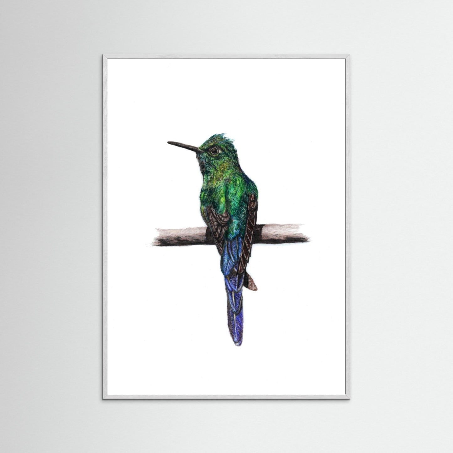 Hummingbird Wall Art Print – Fine Art Wildlife Illustration