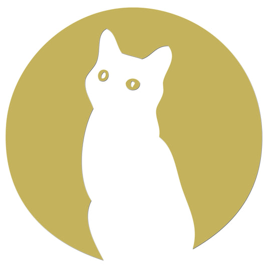 Moon Cat Iron On HTV Transfer